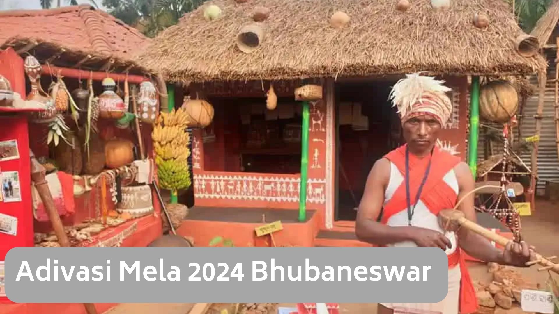 Adivasi Mela 2024 Bhubaneswar