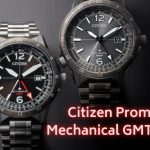 Citizen Promaster Watch